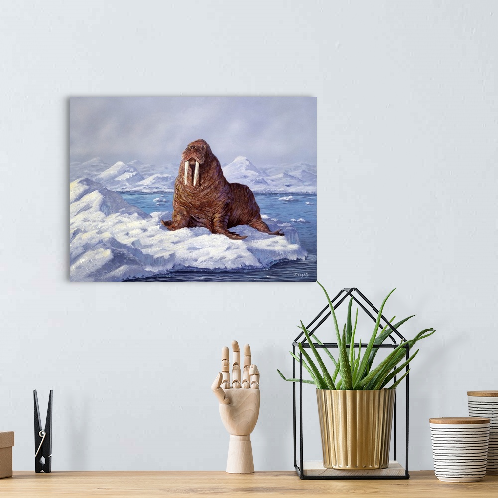 A bohemian room featuring A large walrus resting on an ice floe.