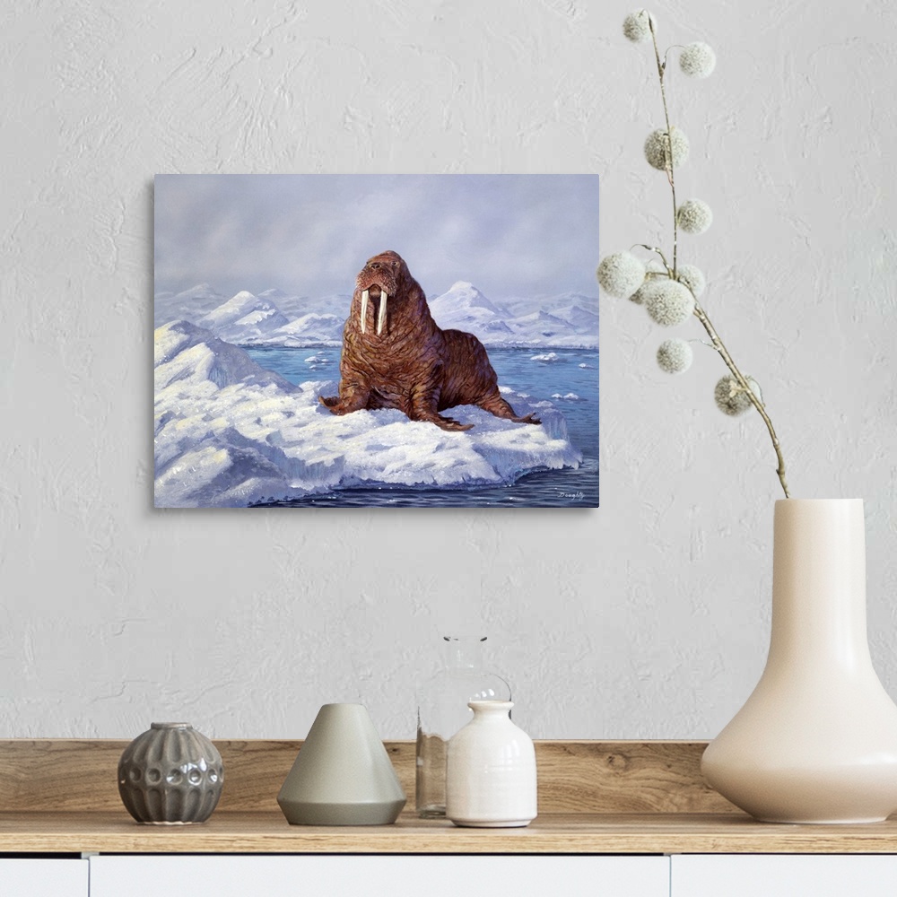 A farmhouse room featuring A large walrus resting on an ice floe.