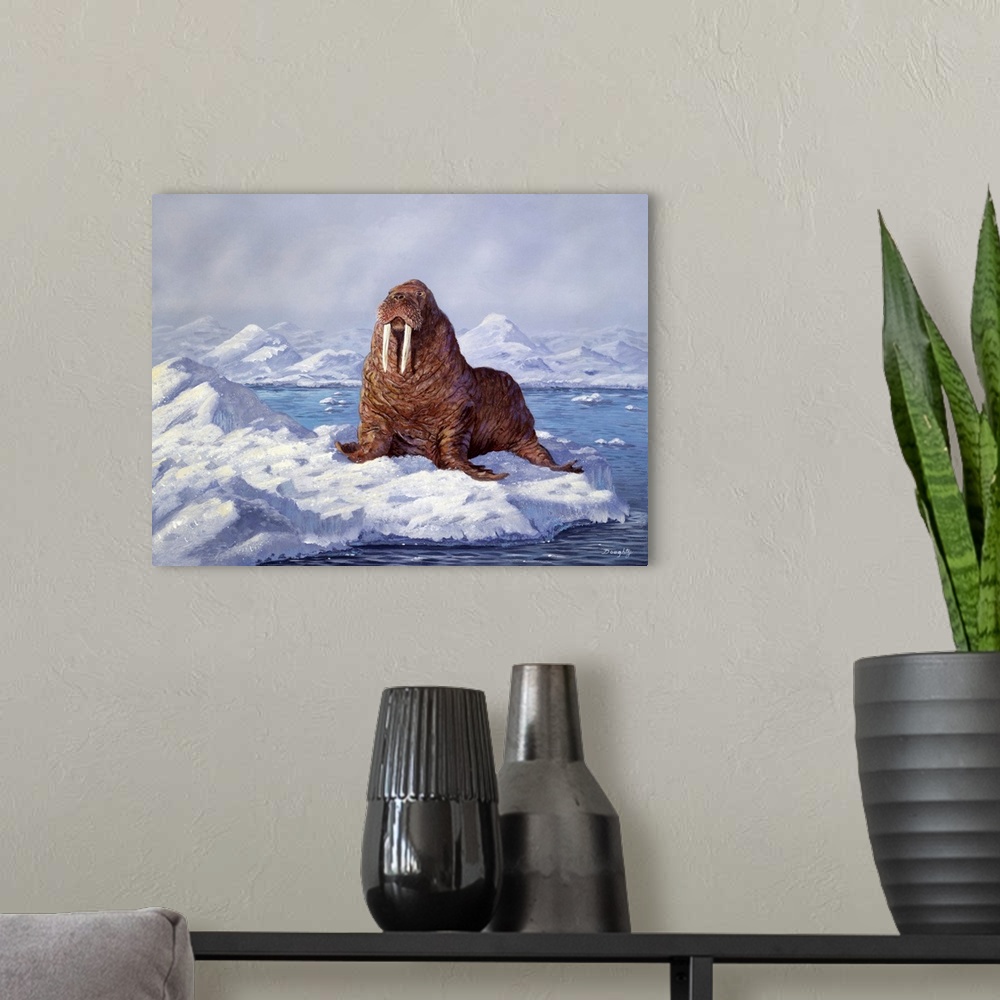 A modern room featuring A large walrus resting on an ice floe.