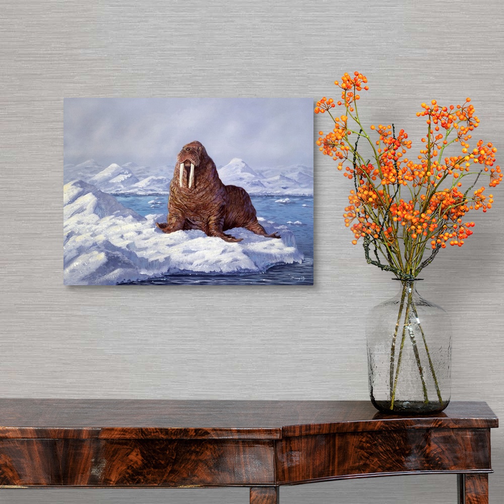 A traditional room featuring A large walrus resting on an ice floe.