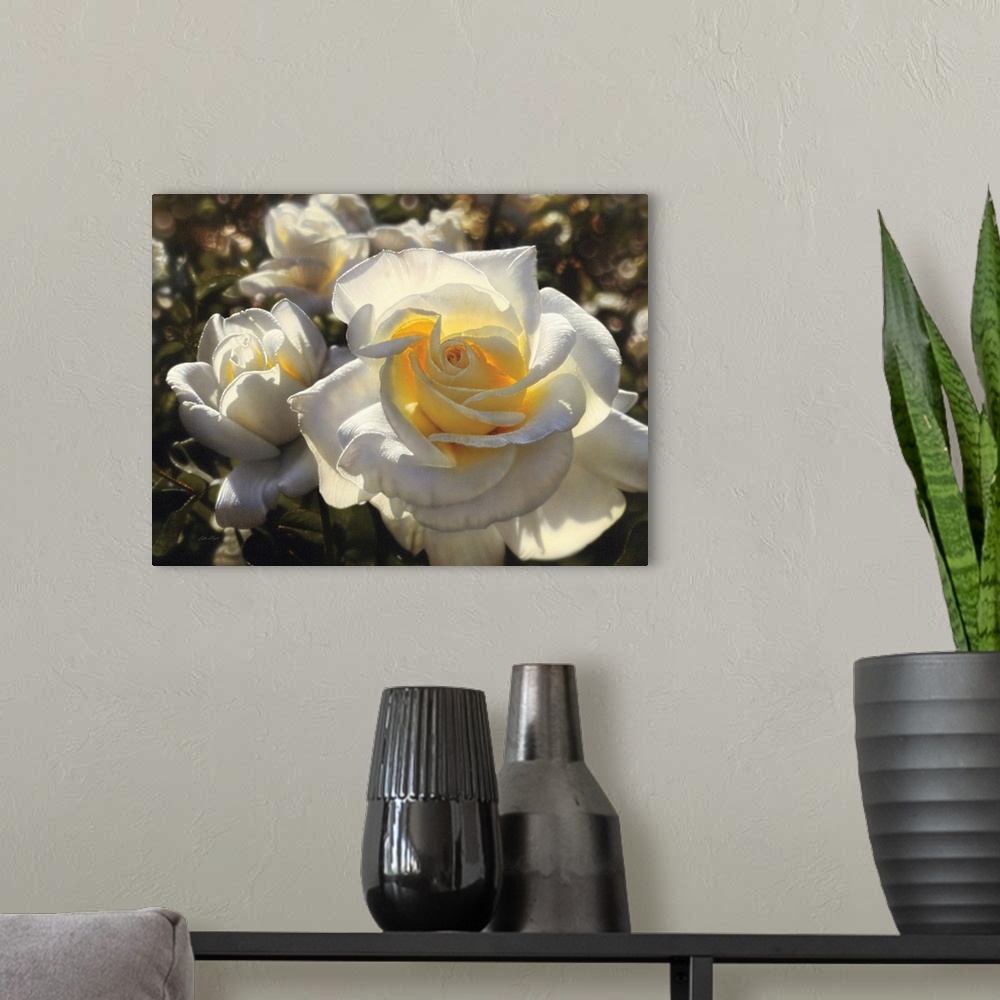 A modern room featuring White Roses