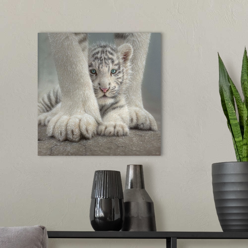 A modern room featuring White Tiger Cub - Sheltered