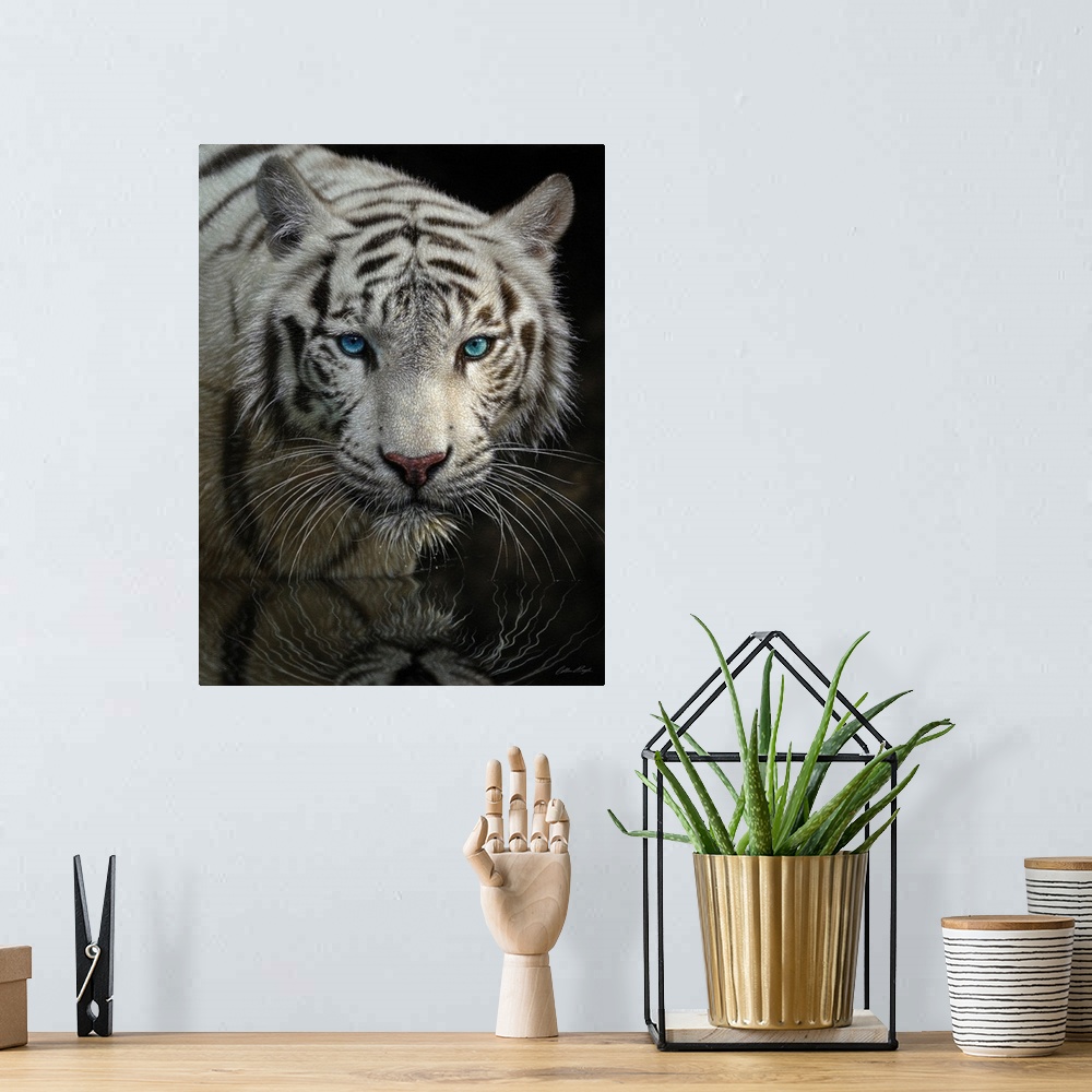 A bohemian room featuring White Tiger - Into the Light