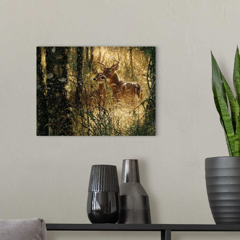 A modern room featuring Whitetail Deer - A Golden Moment - Horizontal