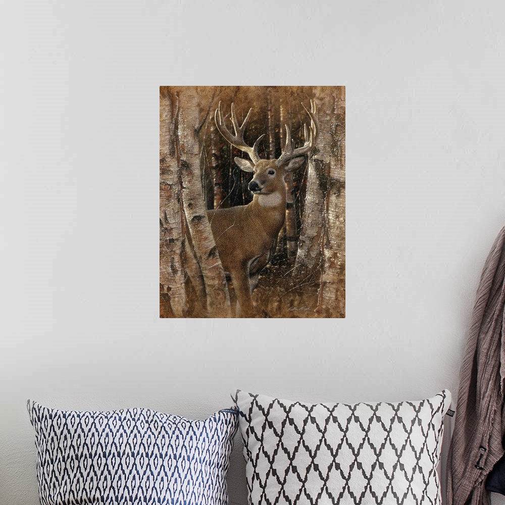 A bohemian room featuring Whitetail Deer - Birchwood Buck