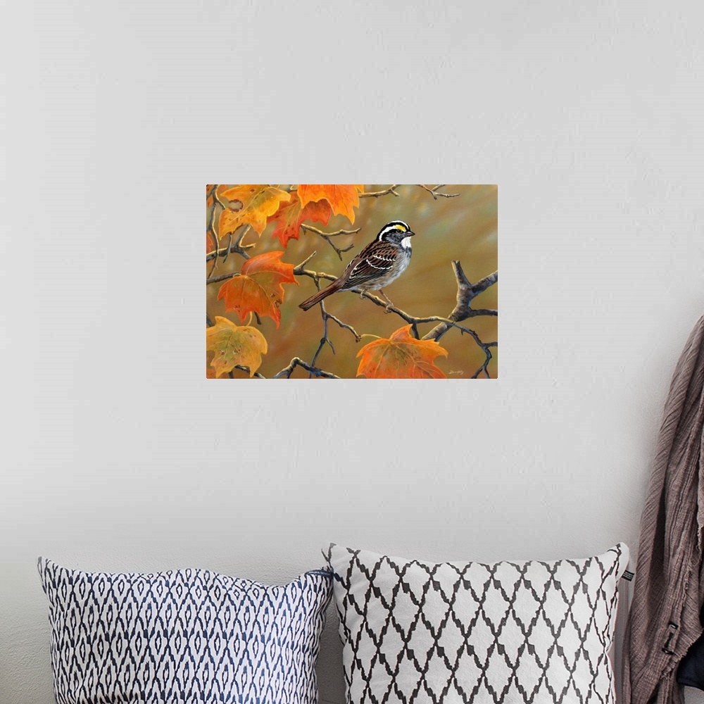 A bohemian room featuring Whitethroated Sparrow