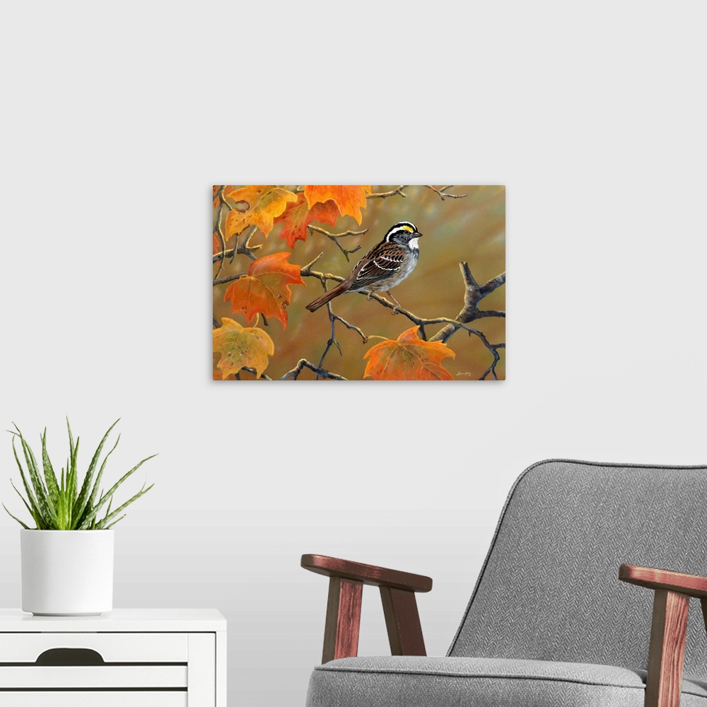 A modern room featuring Whitethroated Sparrow