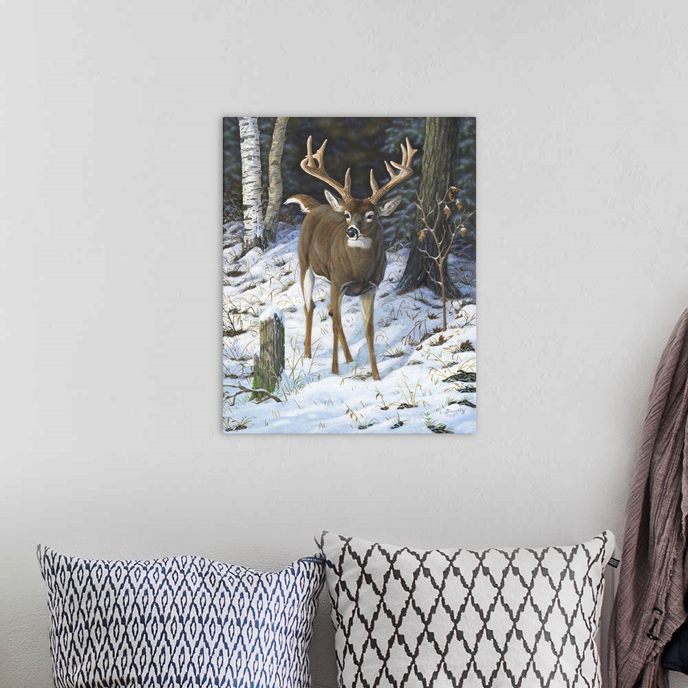 A bohemian room featuring Whopper Whitetail