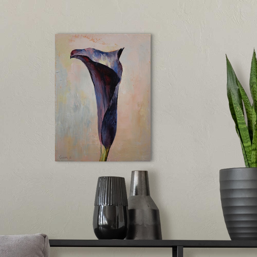 A modern room featuring Black Calla Lily