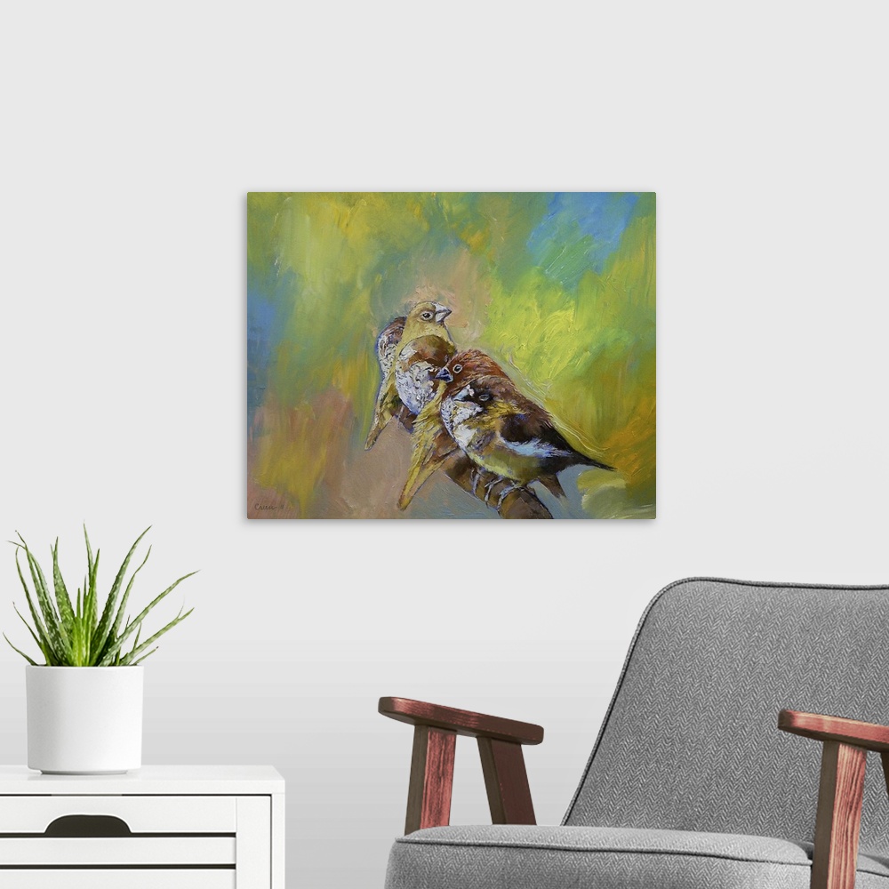 A modern room featuring Finches