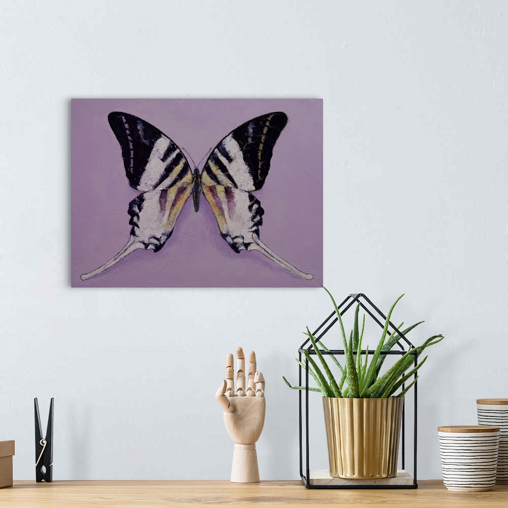 A bohemian room featuring Giant Swordtail Butterfly