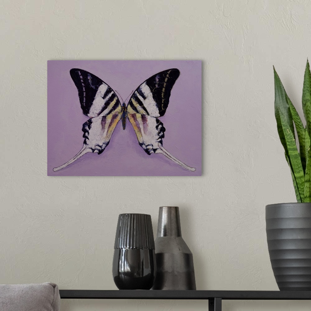 A modern room featuring Giant Swordtail Butterfly