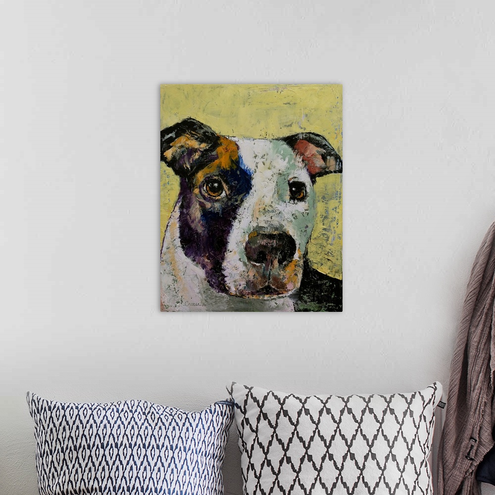 A bohemian room featuring Pit Bull Portrait