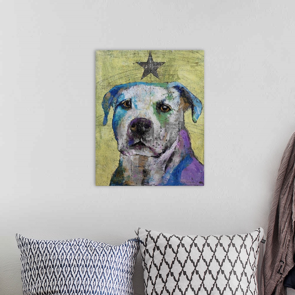 A bohemian room featuring Pit Bull Terrier