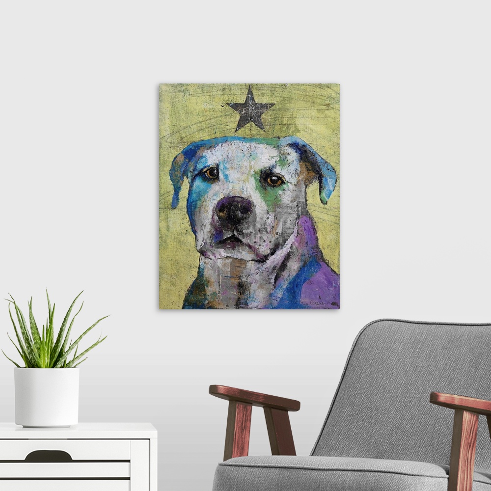 A modern room featuring Pit Bull Terrier