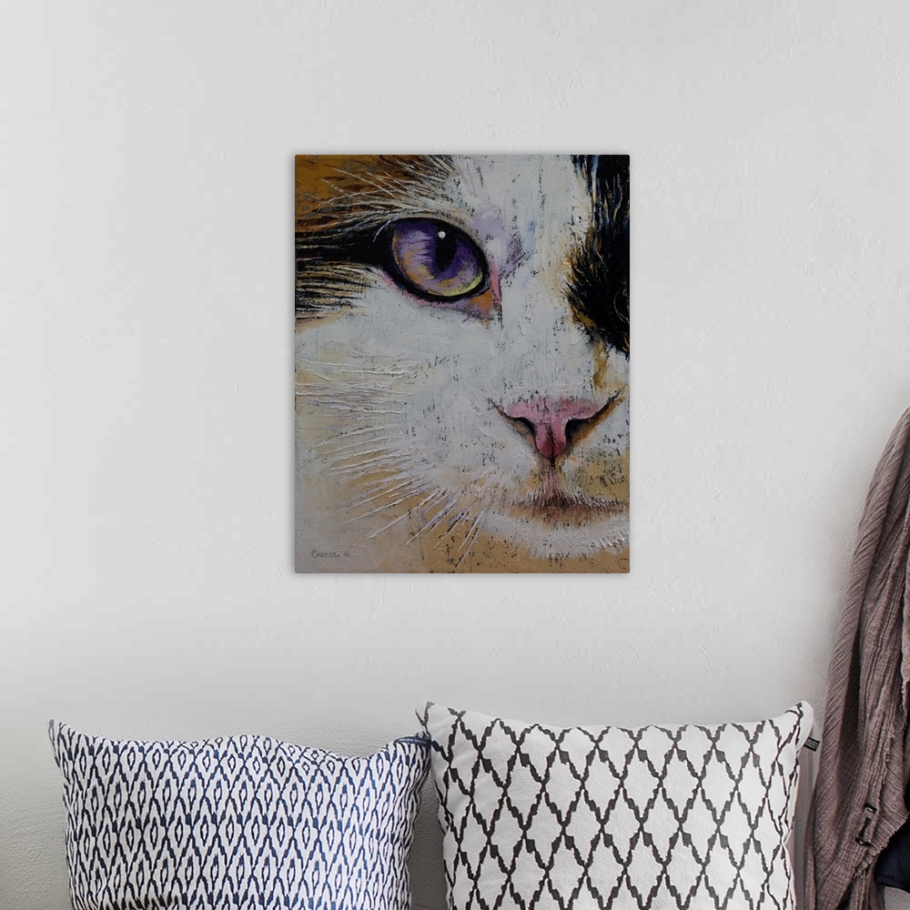 A bohemian room featuring Ragdoll - Cat Portrait