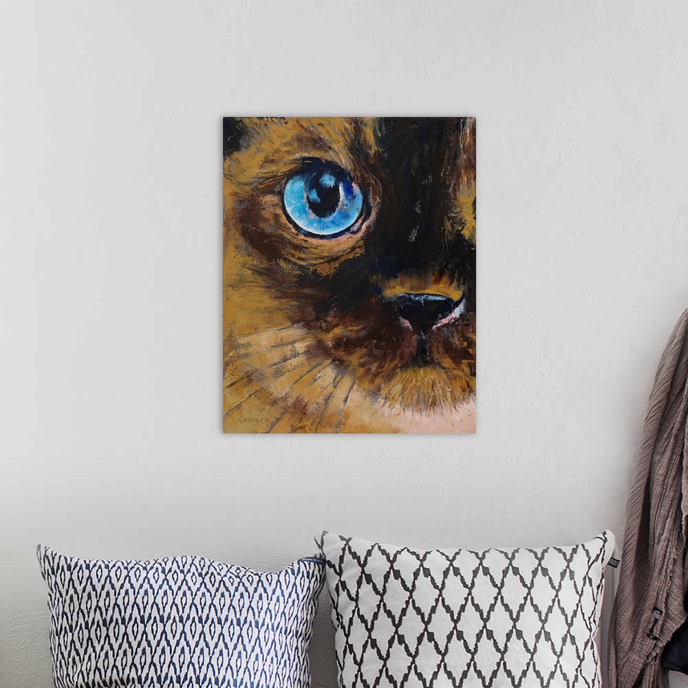 A bohemian room featuring Tonkinese - Cat Portrait