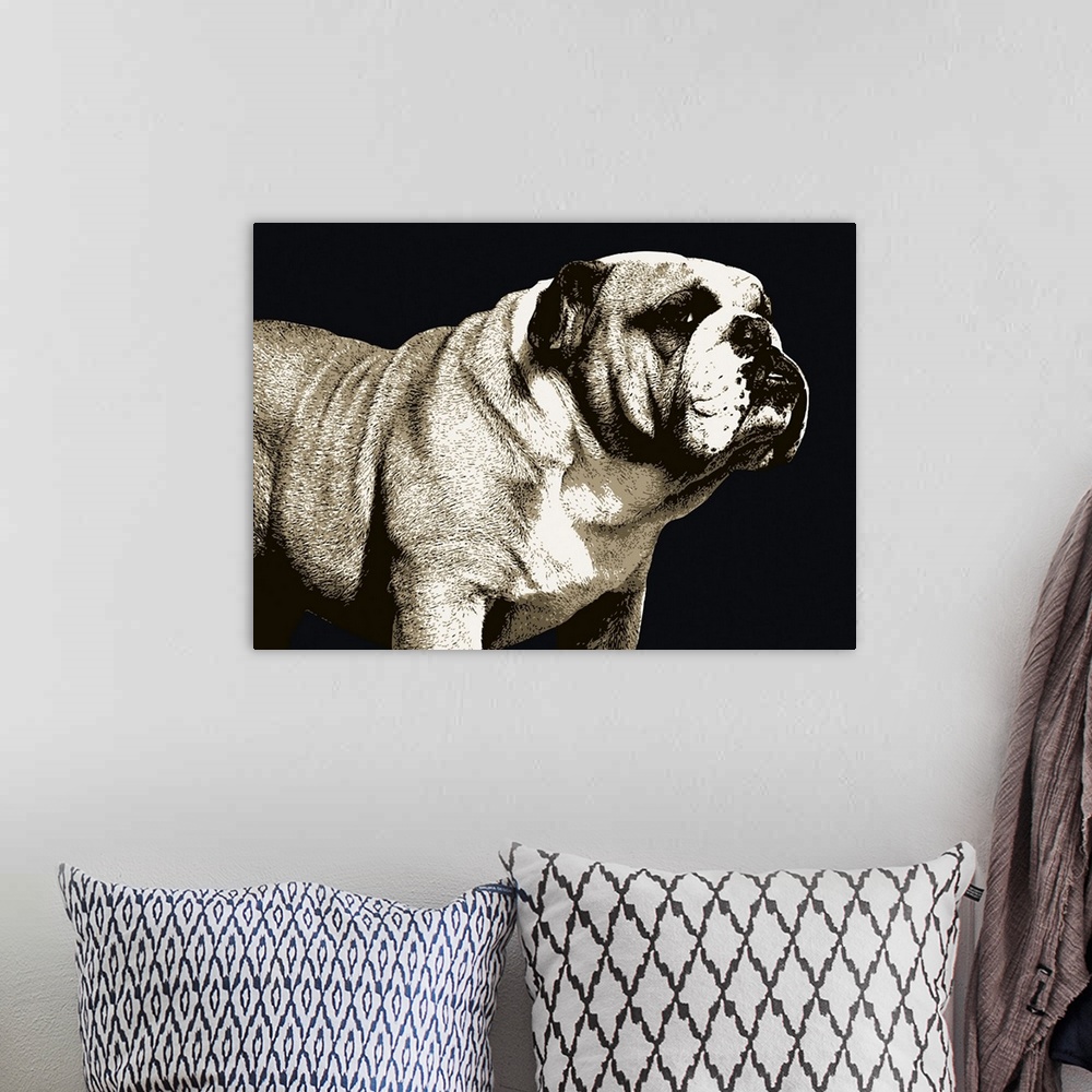 A bohemian room featuring A bulldog is the common name for a breed of dog also referred to as the English bulldog or Britis...
