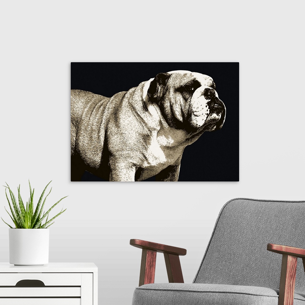 A modern room featuring A bulldog is the common name for a breed of dog also referred to as the English bulldog or Britis...