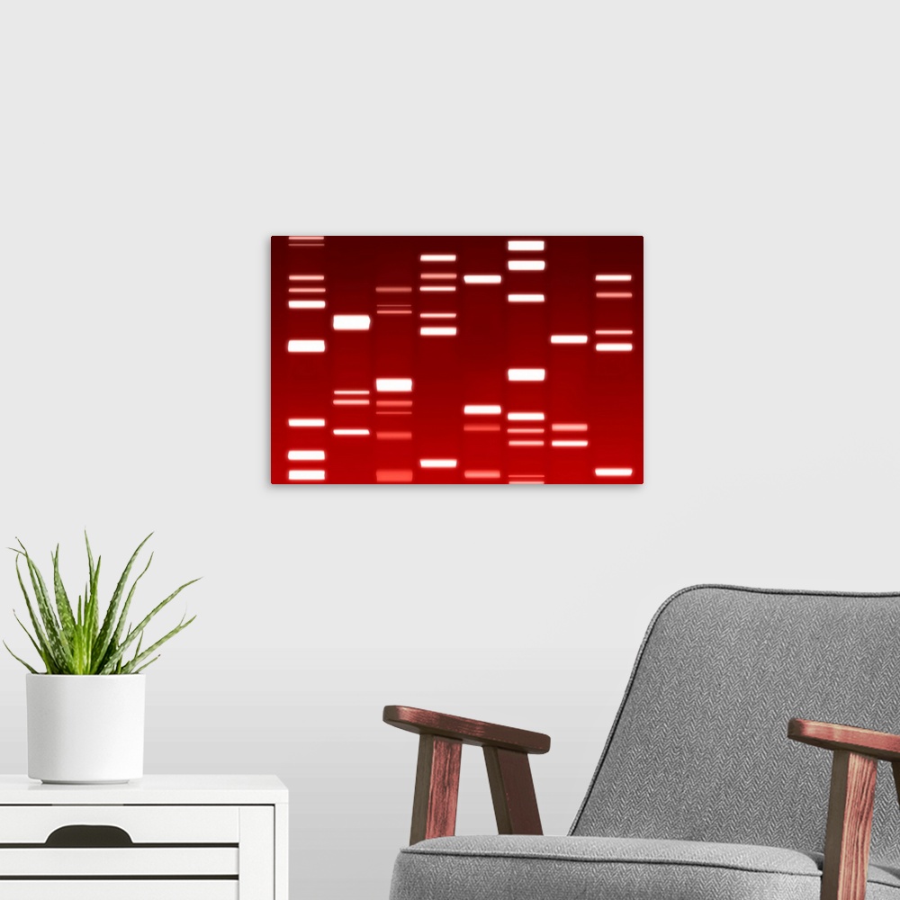 A modern room featuring DNA canvas and art print. DNA contains the genetic instructions which control how every living or...