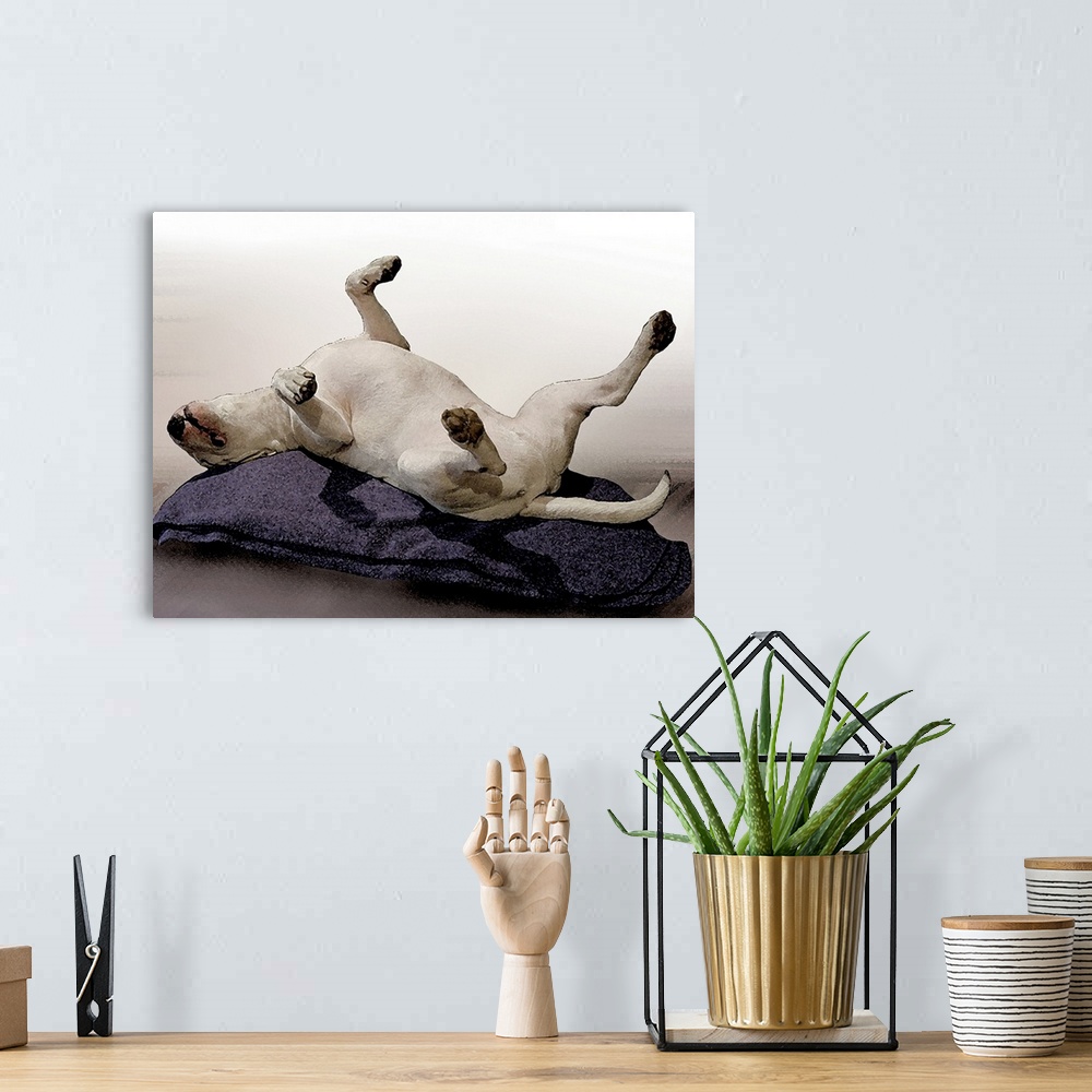 A bohemian room featuring Watercolor style print of an English Bull Terrier.