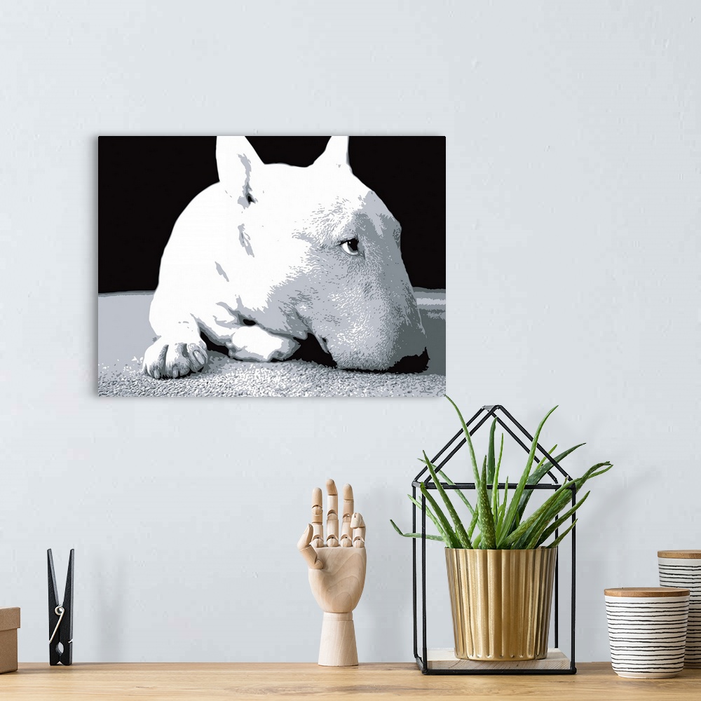 A bohemian room featuring English Bull Terrier Pop Art Print.