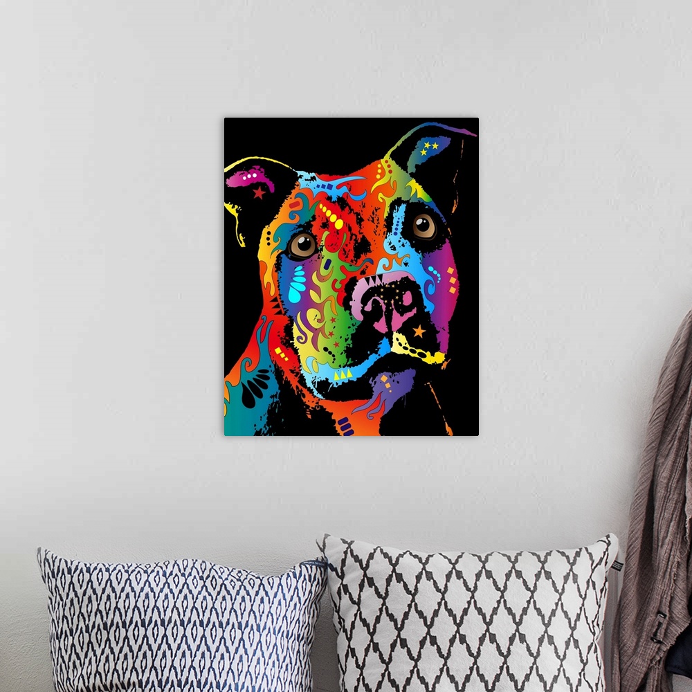 A bohemian room featuring The Staffordshire Bull Terrier (also known as a Staffie, Stafford, Staffross, Staffy or Staff) is...