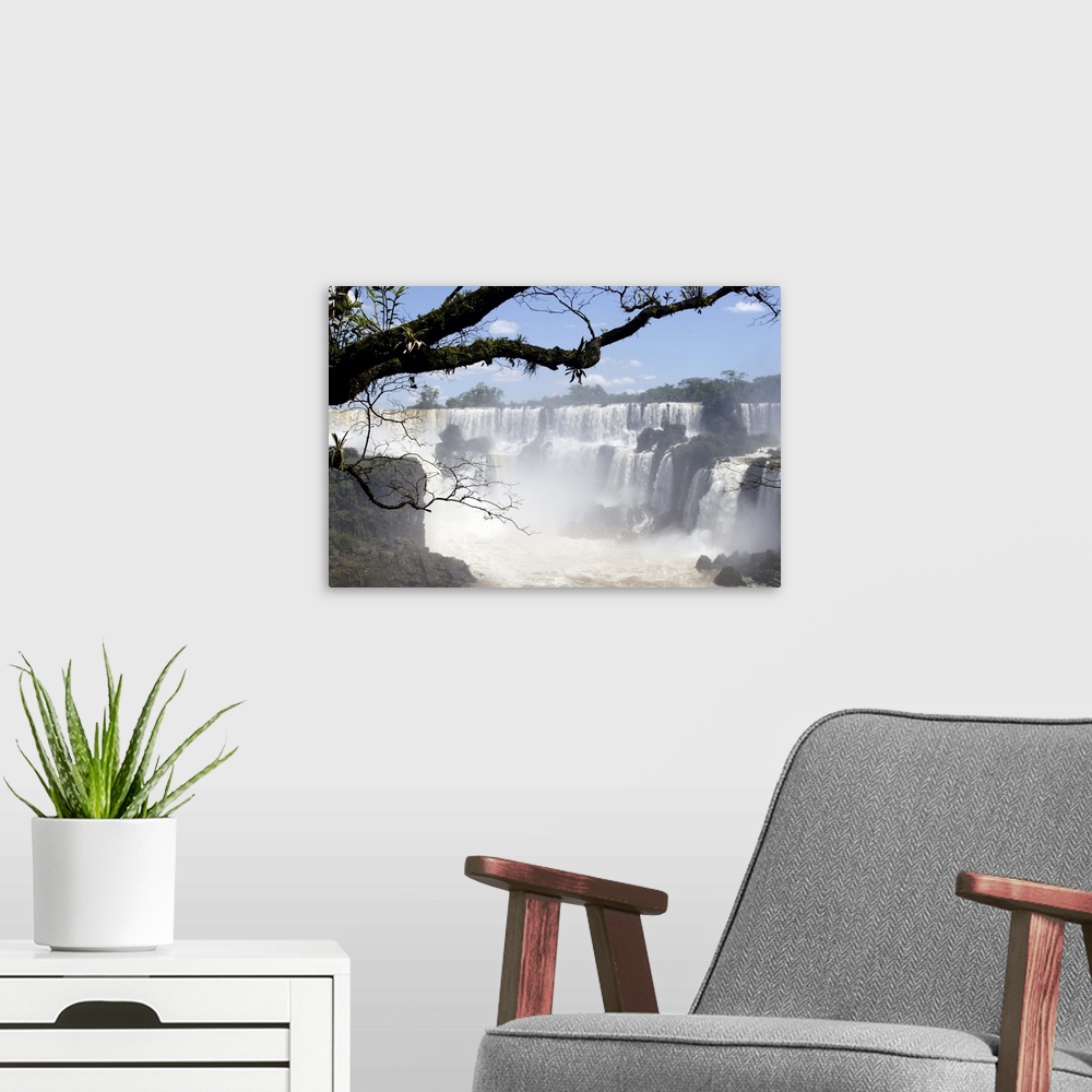A modern room featuring Iguassu Falls, waterfall jungle and tree