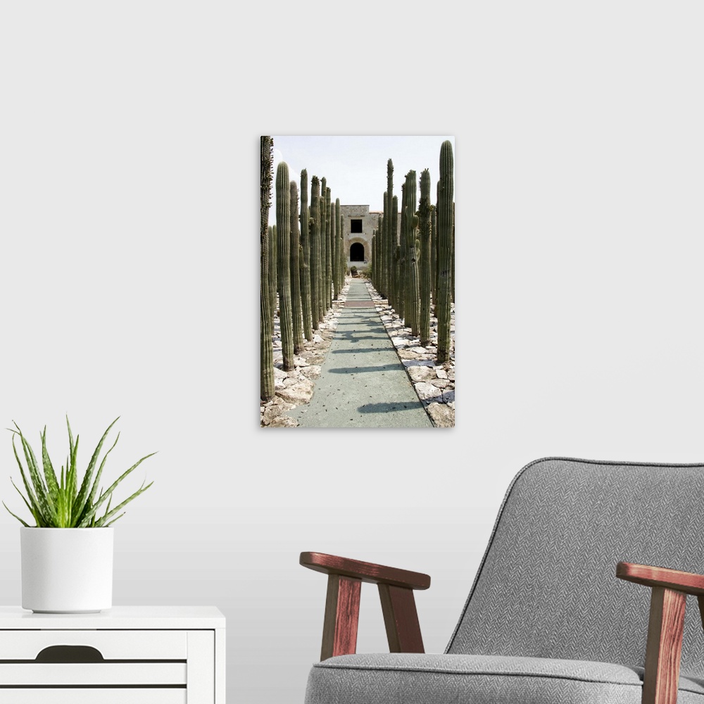 A modern room featuring Mexico, Oaxaca: Jardin Etnobotanico del Centro Cultural Santo Domingo, cactus