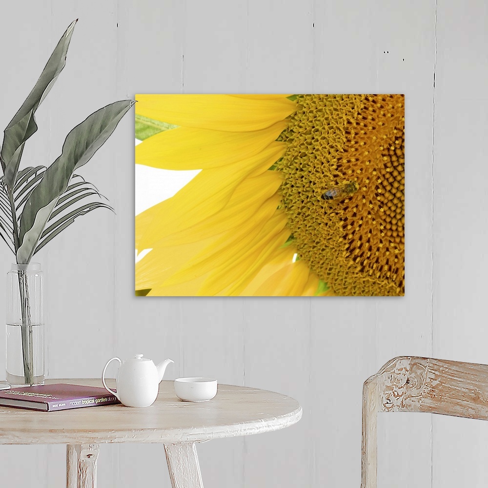 A farmhouse room featuring A closely taken photograph of a sunflower that has a bee shown near the center of the flower.