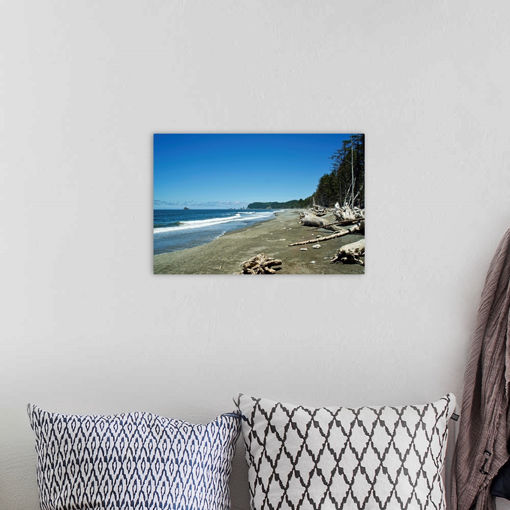 A bohemian room featuring USA, Washington State, Olympic Peninsula: Rialto Beach