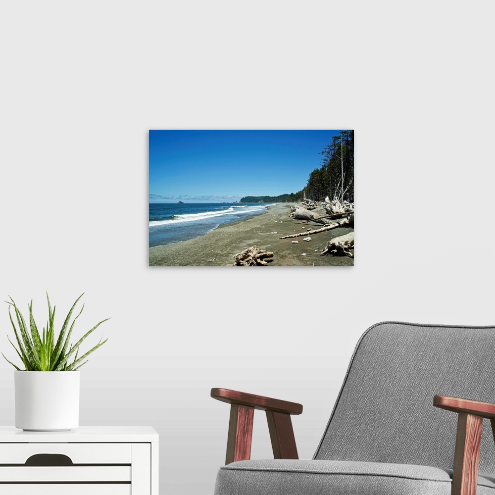 A modern room featuring USA, Washington State, Olympic Peninsula: Rialto Beach