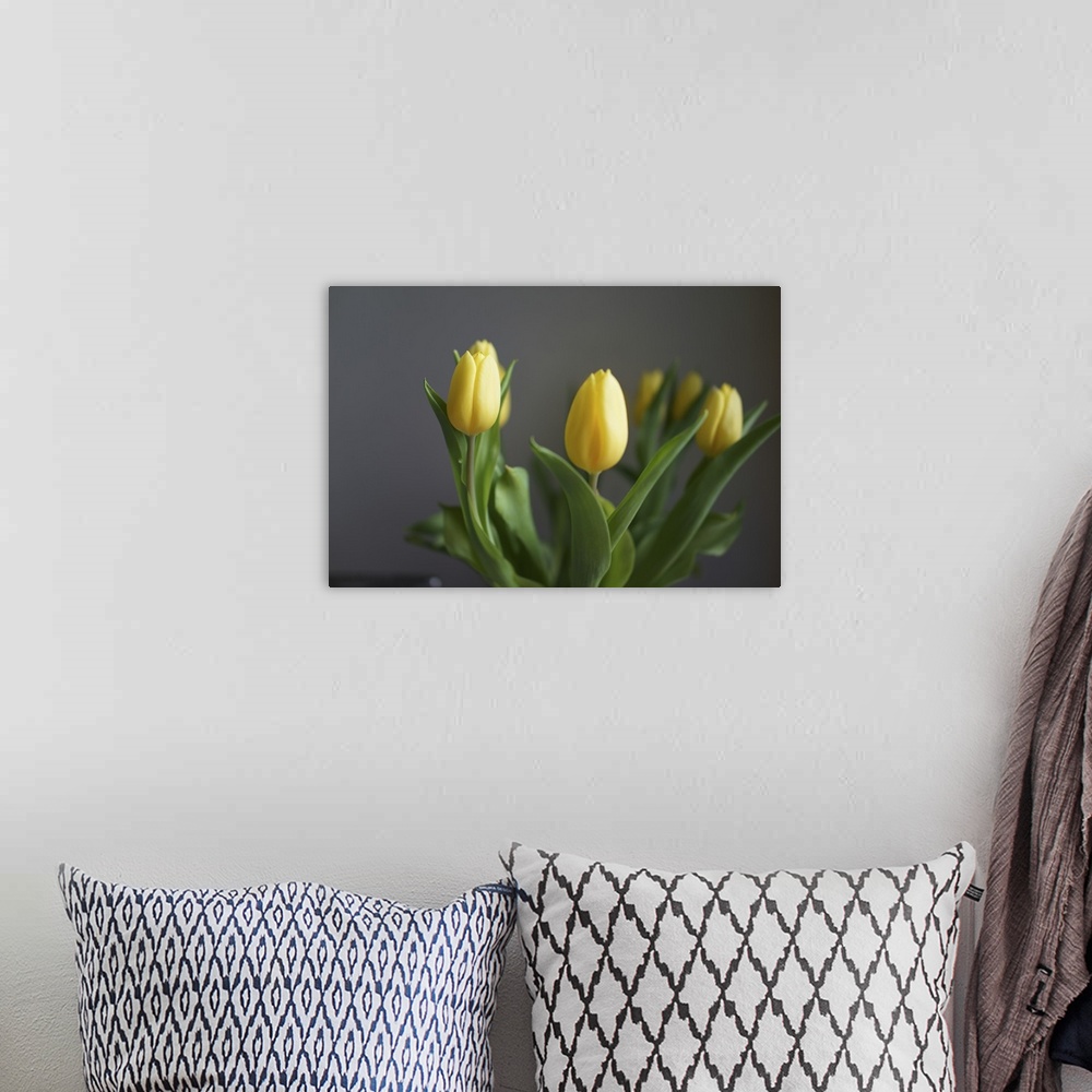 A bohemian room featuring Yellow tulips kept in a vase