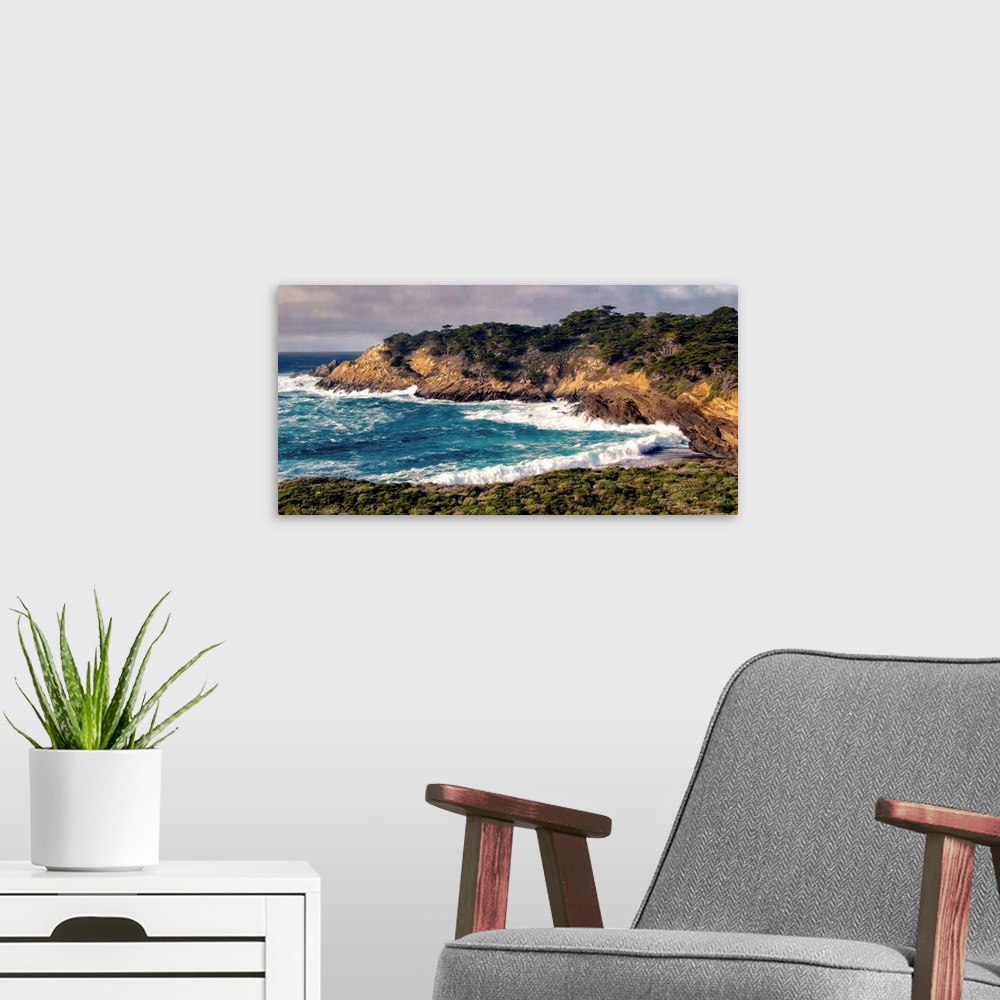 A modern room featuring A view of a Cypress Grove in the Point Lobos State Reserve in California. Inspired by matte paint...