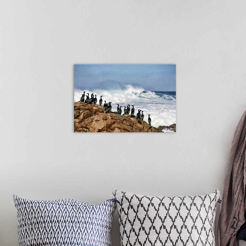 A bohemian room featuring Brandt's cormorants have a front-row view of the spectacular coastline along the 17 Mile Drive in...
