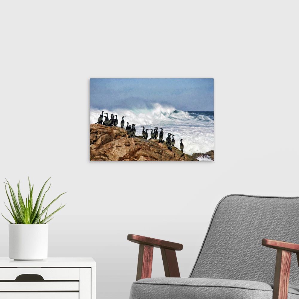 A modern room featuring Brandt's cormorants have a front-row view of the spectacular coastline along the 17 Mile Drive in...