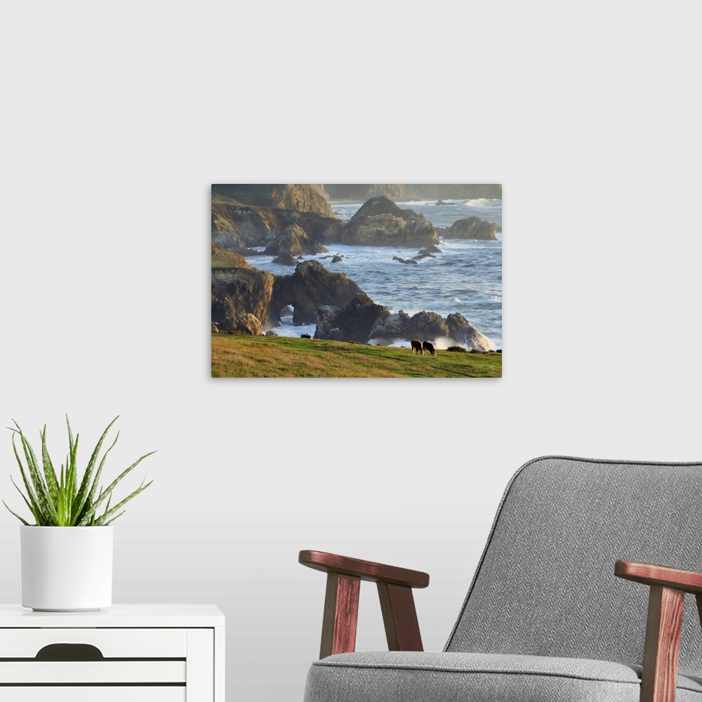 A modern room featuring Two cows graze in a field in Big Sur with spectacular rock formations and the beautifully lit oce...