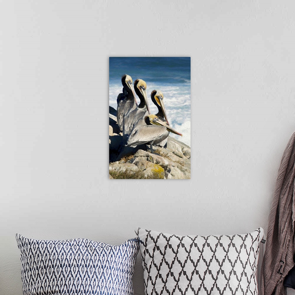 A bohemian room featuring Four pelicans with striking eyes of different colors rest above the waves in Pebble Beach, Califo...