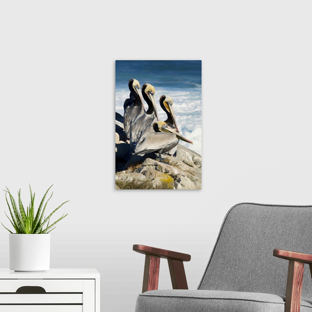 A modern room featuring Four pelicans with striking eyes of different colors rest above the waves in Pebble Beach, Califo...