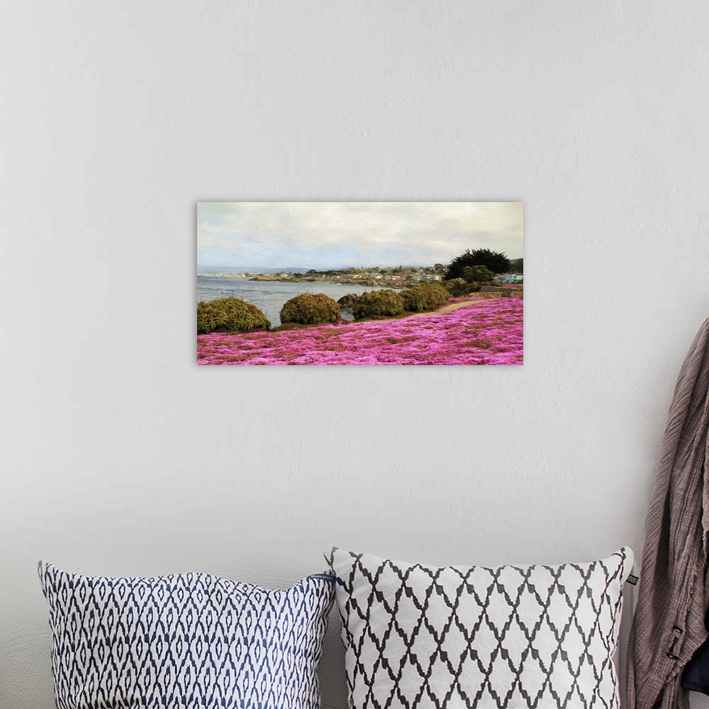 A bohemian room featuring In the spring, miles of coastline of the quaint town of Pacific Grove are covered with pink flowe...