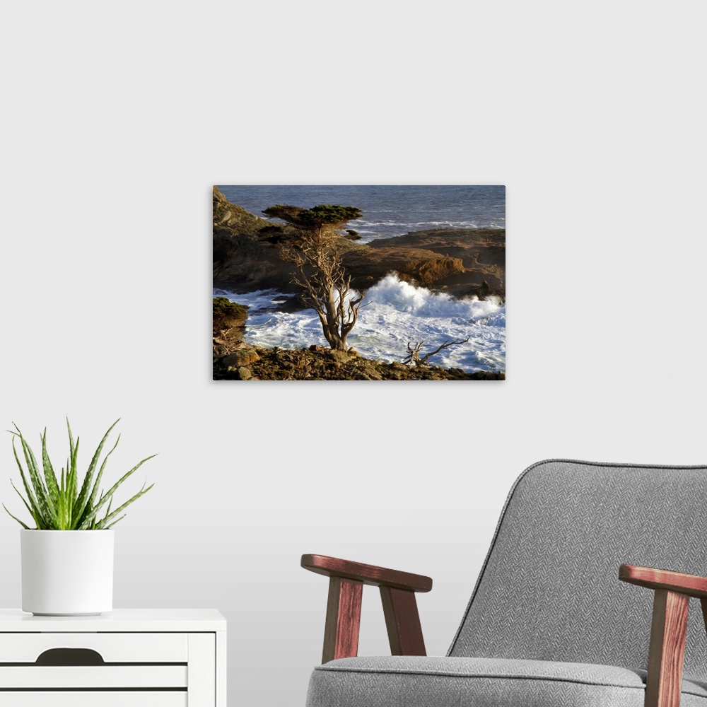 A modern room featuring A Monterey Cypress stands guard on a hill above crashing waves in the Point Lobos State Reserve, ...