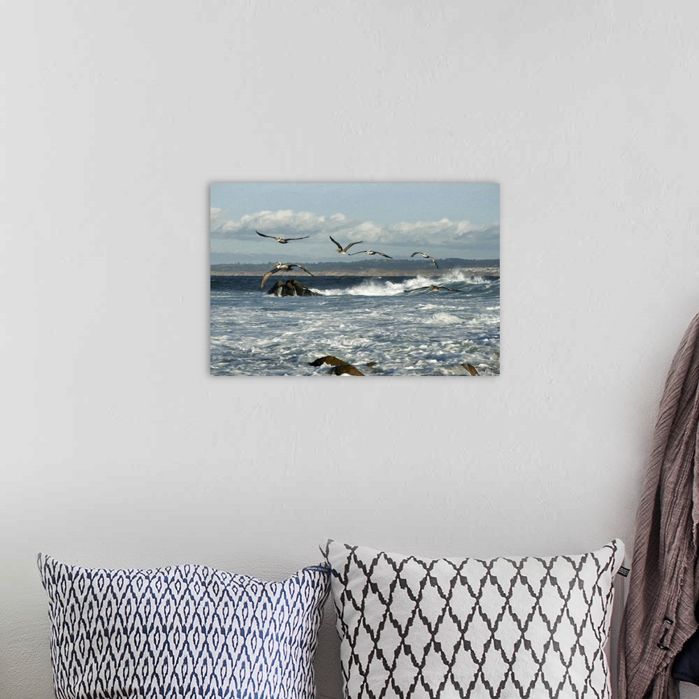 A bohemian room featuring A squadron of pelicans make their way against the wind in Pacific Grove, California. Blending the...