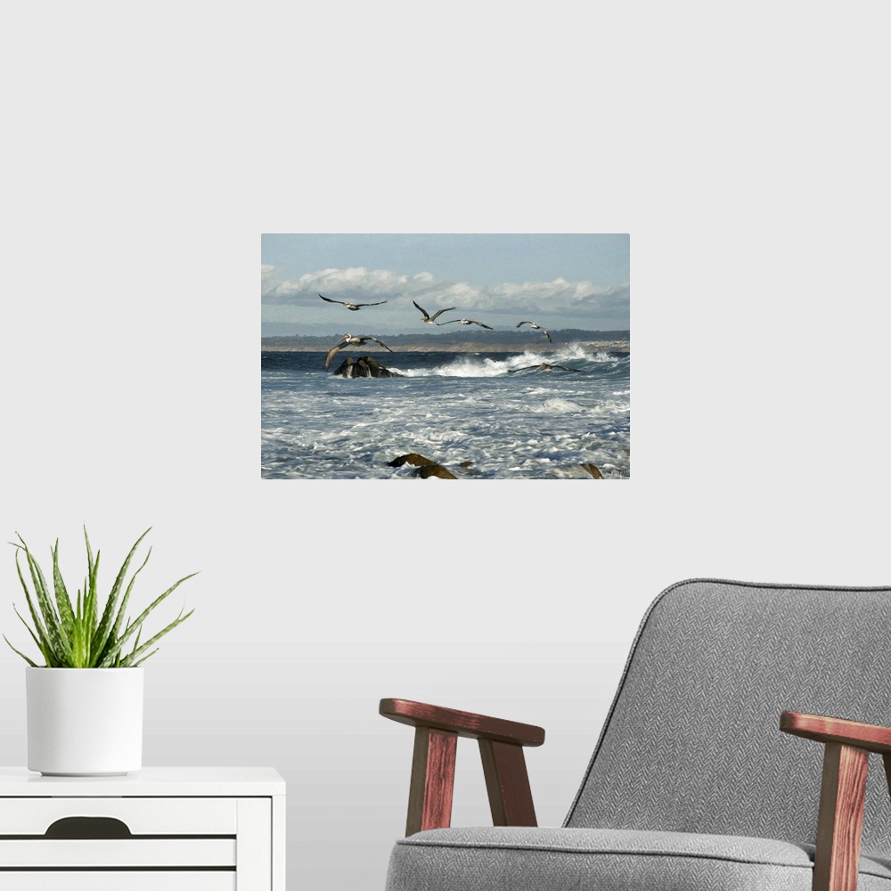 A modern room featuring A squadron of pelicans make their way against the wind in Pacific Grove, California. Blending the...