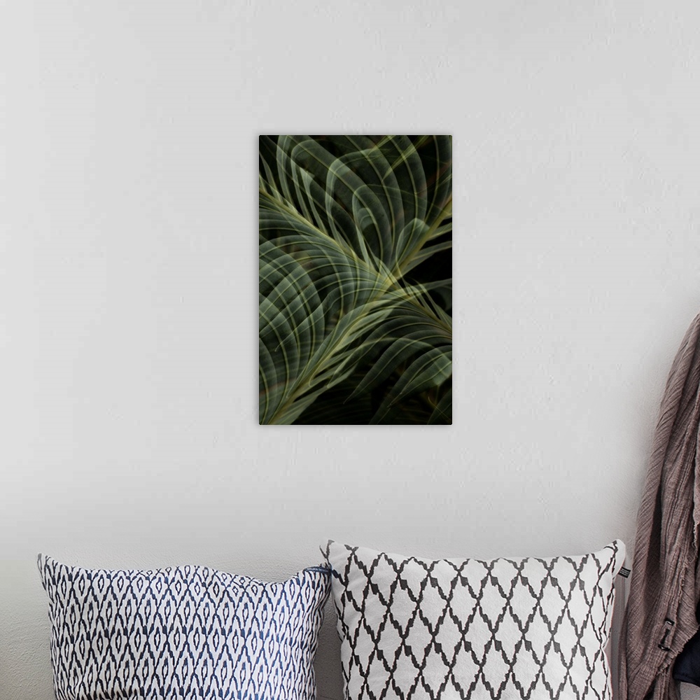A bohemian room featuring Abstract photograph of a multiple exposure fern frond.