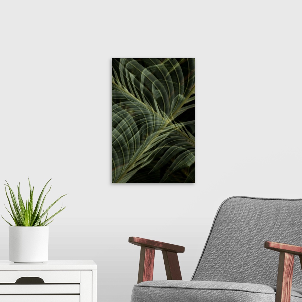 A modern room featuring Abstract photograph of a multiple exposure fern frond.