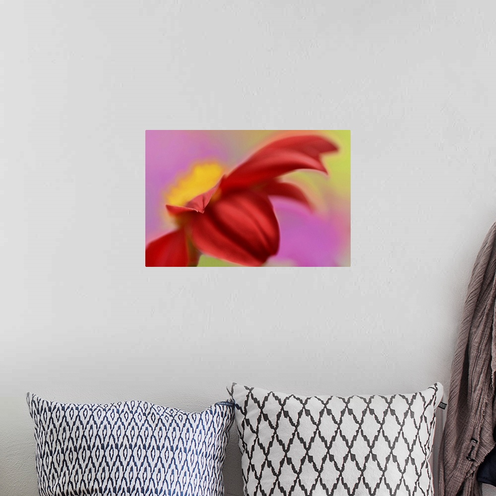 A bohemian room featuring Abstract Flower