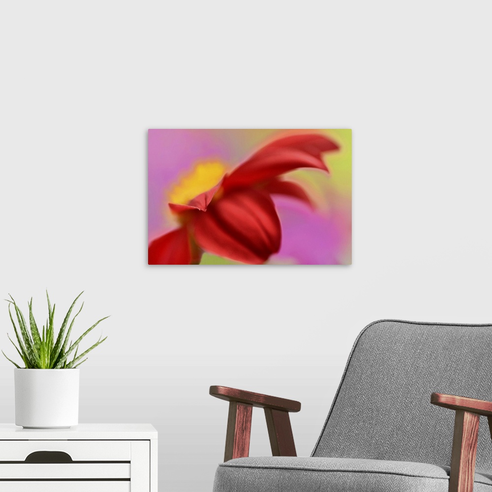A modern room featuring Abstract Flower