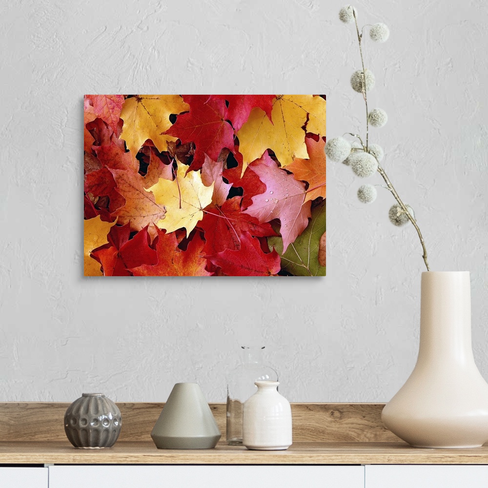 A farmhouse room featuring A large piece of a photograph of autumn maple leaves scattered on the ground.