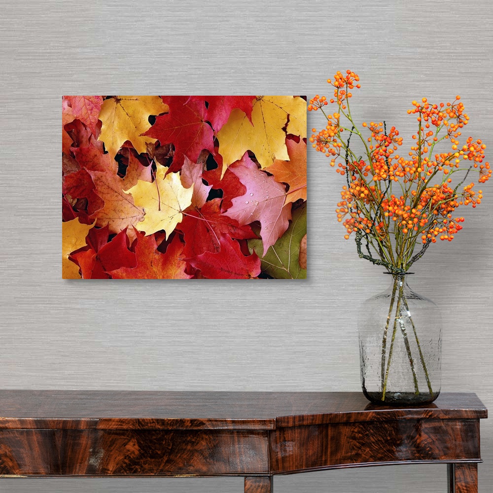 A traditional room featuring A large piece of a photograph of autumn maple leaves scattered on the ground.