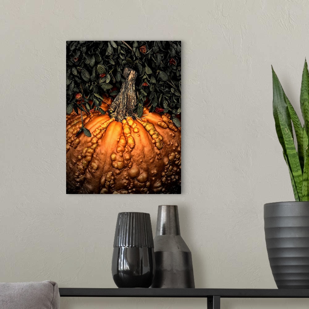 A modern room featuring Autumn Pumpkin